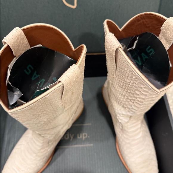 Tecova Savannah Bone Python size 8.5 - Picture 6 of 12